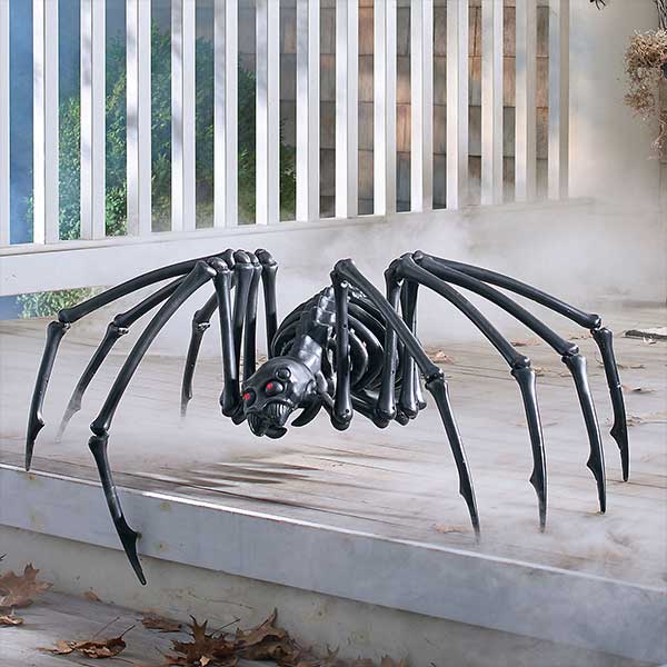 Black Skeleton Spider