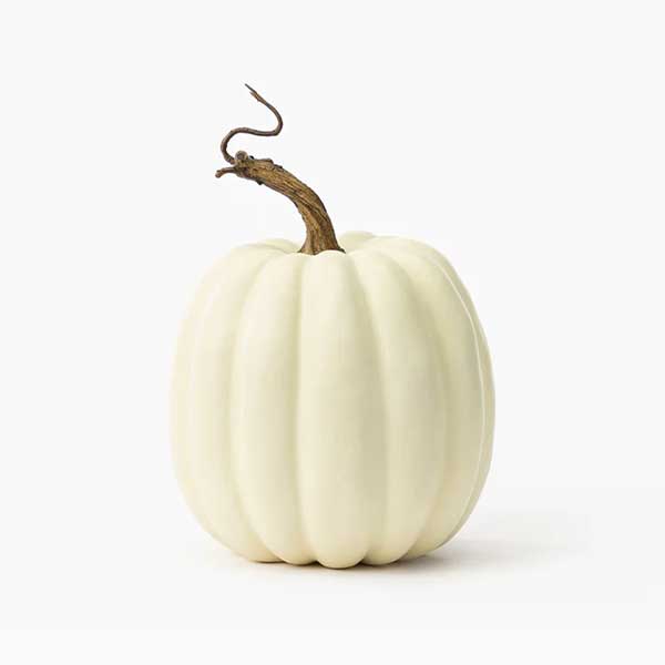 Creamy White Faux Pumpkin