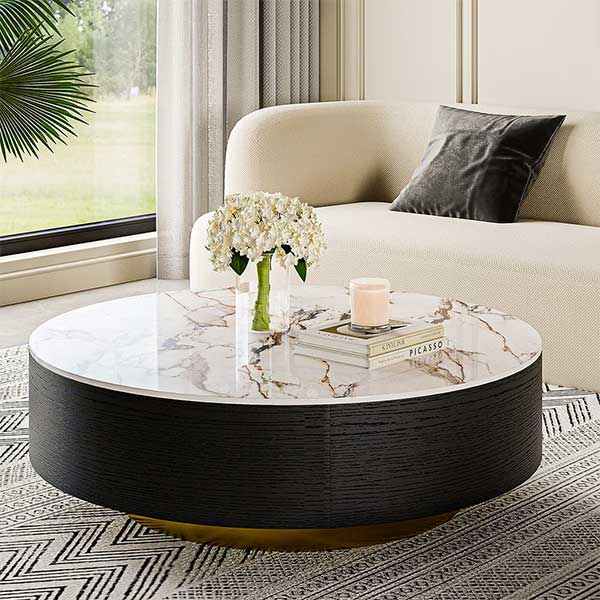 Daniel-Jack Drum Coffee Table, Sintered Stone Top, 2 Solid Wood Drawers, Fully-Assembled