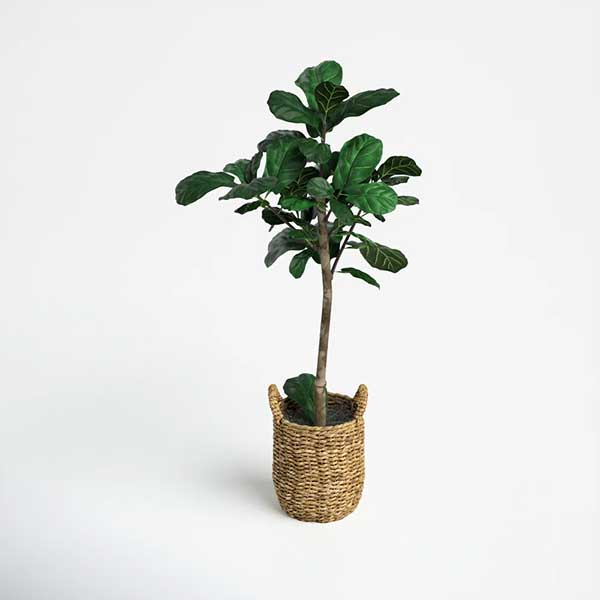 30'' Faux Fiddle Leaf Fig Tree in Glass Basket