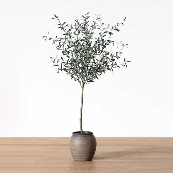 Faux 72" Olive Tree with Ceramic Pot