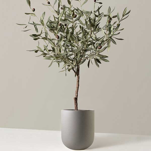 Faux Olive Tree