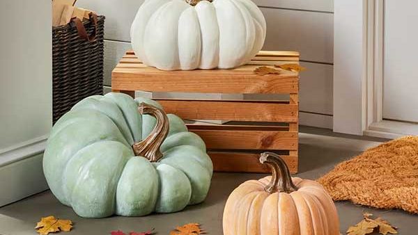 Outdoor Heirloom Pumpkins