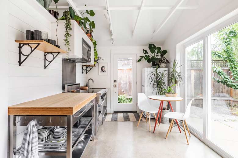 Plants above kitchen cabinets