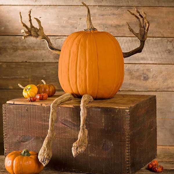 Posable Pumpkin Vine Arms and Legs Set, Includes 4 Pieces