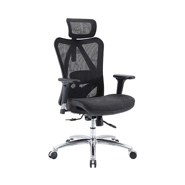 SIHOO High-Back Ergonomic Office Chair, Mesh Desk Chair with Adjustable 3D Armrest, Lumbar Support and Headrest, for Home & Office, Black